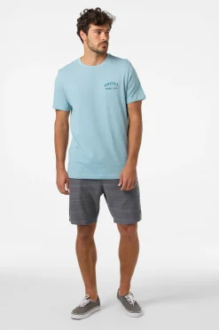 Tees & Tanks^O'Neill Arch Classic Tee Standard Fit Tee - | stone blue