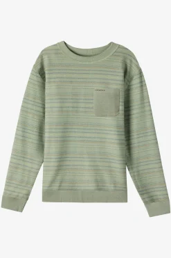 Hoodies & Fleece^O'Neill Bavaro Blocked Crew Crew Neck Fleece - | sage