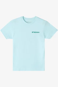 Tops^O'Neill Boy's Hacked Tee - | sky blue heather