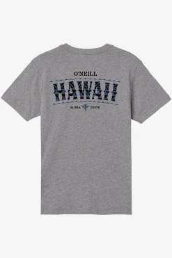 Tops^O'Neill Boy's Hawaii Arch Tee - | heather grey
