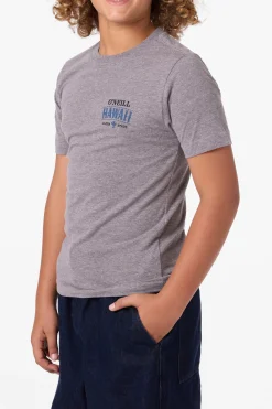 Tops^O'Neill Boy's Hawaii Arch Tee - | heather grey