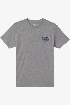 Tops^O'Neill Boy's Hawaii Arch Tee - | heather grey