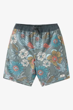 Boardshorts^O'Neill Boy's Hermosa Elastic Waist Lined 16" Swim Trunks Trunks - | mulled basil