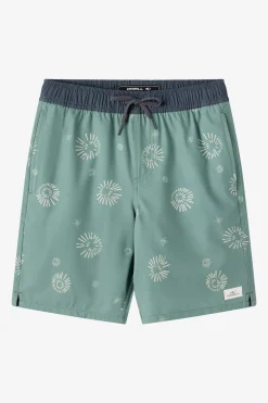 Boardshorts^O'Neill Boy's Hermosa Elastic Waist Lined 16" Swim Trunks Trunks - | sage2