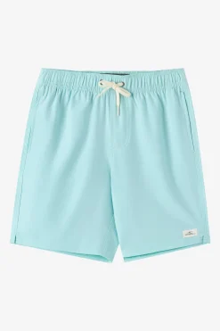 Boardshorts^O'Neill Boy's Lennox Hermosa Solid Volley 16" Swim Trunks Trunks - | canal blue