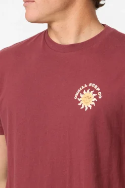 Tees & Tanks^O'Neill Brightside Standard Fit Tee oxblood red