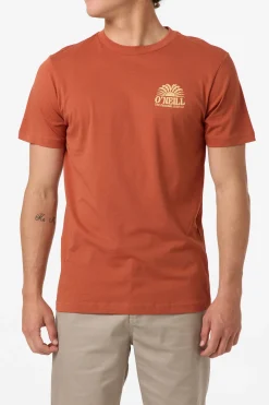 Tees & Tanks^O'Neill Burst Classic Tee Standard Fit Tee - | chutney
