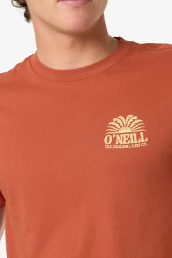 Tees & Tanks^O'Neill Burst Classic Tee Standard Fit Tee - | chutney