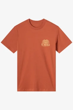 Tees & Tanks^O'Neill Burst Classic Tee Standard Fit Tee - | chutney