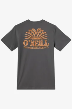 New Arrivals|Tees & Tanks^O'Neill Burst Classic Tee Standard Fit Tee - | dark shadow