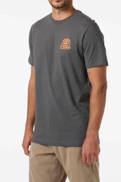 New Arrivals|Tees & Tanks^O'Neill Burst Classic Tee Standard Fit Tee - | dark shadow