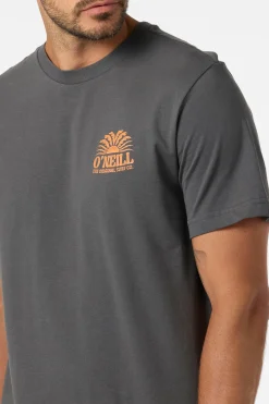 New Arrivals|Tees & Tanks^O'Neill Burst Classic Tee Standard Fit Tee - | dark shadow