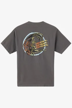 Tees & Tanks^O'Neill Circle Freak Boxy Tee Standard Fit Tee - | grey mineral