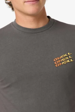 Tees & Tanks^O'Neill Circle Freak Boxy Tee Standard Fit Tee - | grey mineral