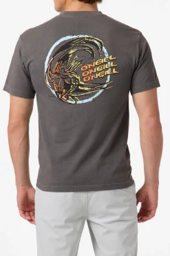 Tees & Tanks^O'Neill Circle Freak Boxy Tee Standard Fit Tee - | grey mineral