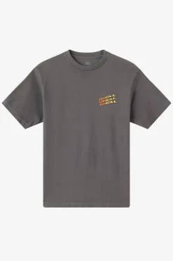 Tees & Tanks^O'Neill Circle Freak Boxy Tee Standard Fit Tee - | grey mineral