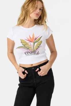 Graphic Tees & Tanks^O'Neill Costa Palms Tee - | white
