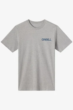 Tees & Tanks^O'Neill Dawn Classic Tee Standard Fit Tee - | heather grey