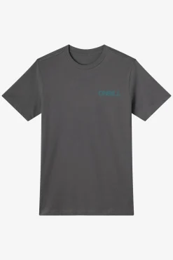 Tees & Tanks^O'Neill Dawn Classic Tee Standard Fit Tee - | dark shadow