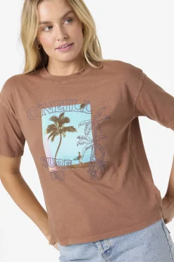 Graphic Tees & Tanks|New Arrivals^O'Neill Doodles Easy Tee carob brown