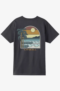Tees & Tanks^O'Neill Glassy Days Standard Fit Tee - | phantom