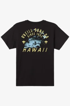 New Arrivals|Tees & Tanks^O'Neill Hawaii Trevally Classic Tee - | black