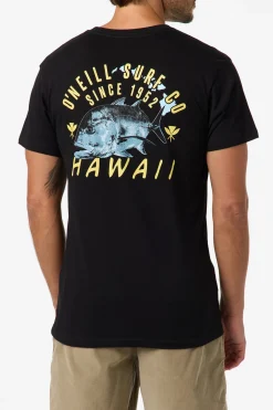 New Arrivals|Tees & Tanks^O'Neill Hawaii Trevally Classic Tee - | black