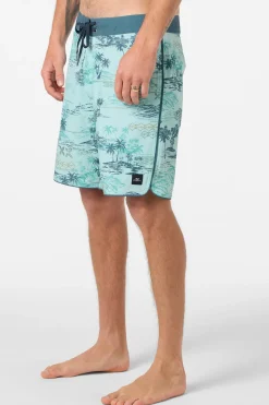 Performance|New Arrivals^O'Neill Hyperfreak Mysto Scallop 19