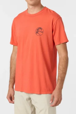 Tees & Tanks^O'Neill O'Riginals Lo'riginals Relaxed Fit Tee - | burnt sienna