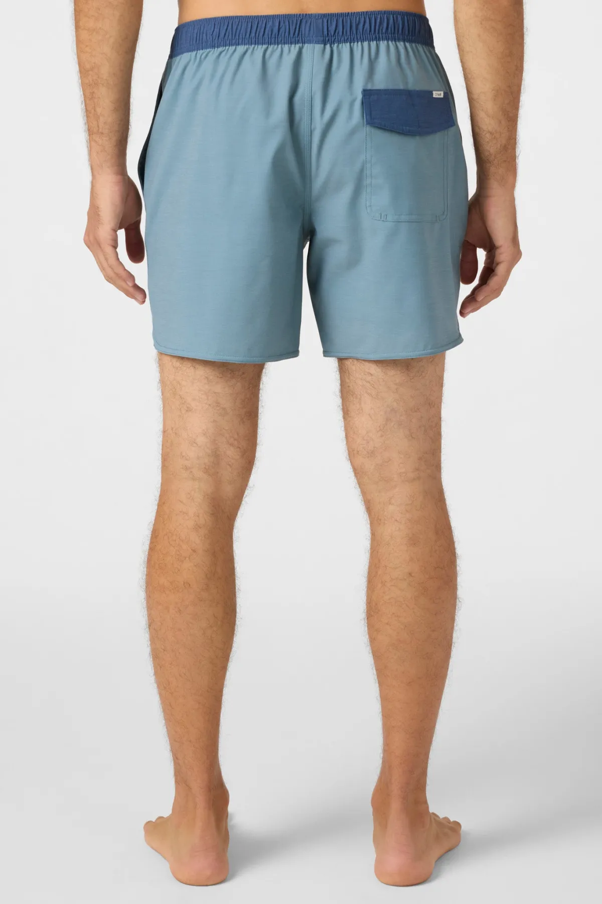 Short Length^O'Neill O'Riginals Solid Scallop 16" Swim Trunks Trunks - | stormy sea