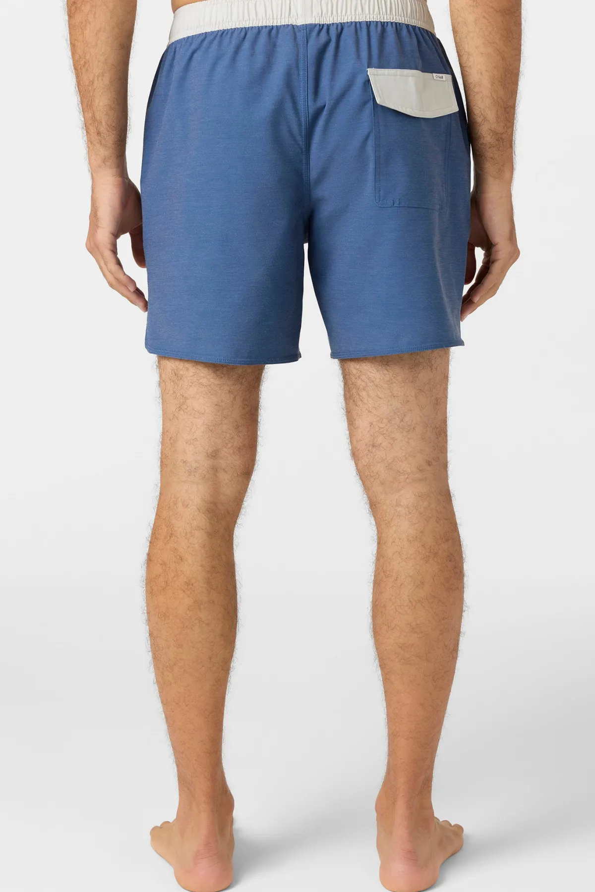 Short Length^O'Neill O'Riginals Solid Scallop Volley 16" Swim Trunks Trunks - | vn indigo
