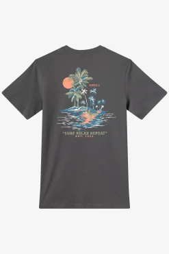 New Arrivals|Tees & Tanks^O'Neill Relax Classic Tee Standard Fit Tee - | dark shadow