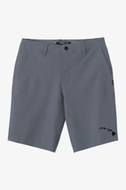 Shorts^O'Neill Reserve Solid Hawaii Hybrid Shorts - | grey