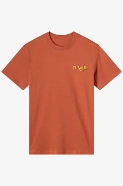 Tees & Tanks^O'Neill Shop Classic Tee Standard Fit Tee - | chutney