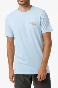 New Arrivals|Tees & Tanks^O'Neill Shop Classic Tee Standard Fit Tee - | sky blue heather