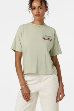 Graphic Tees & Tanks|New Arrivals^O'Neill Snack Time Hawaii Oversized Tee desert sage